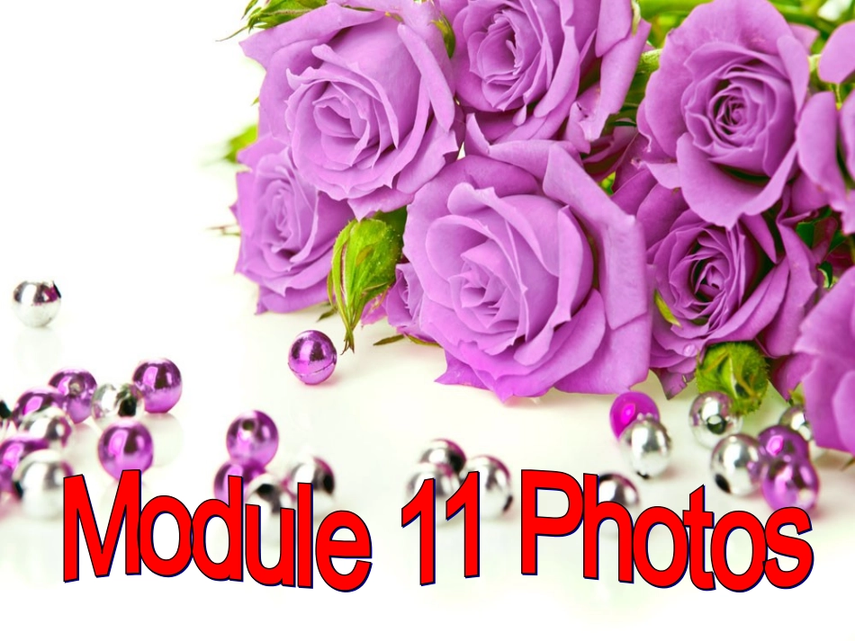 外研版九年级上册Module11Unit2_第2页
