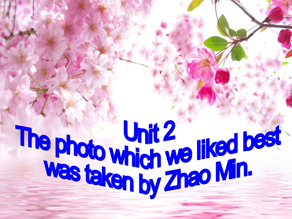 外研版九年级上册Module11Unit2_第3页