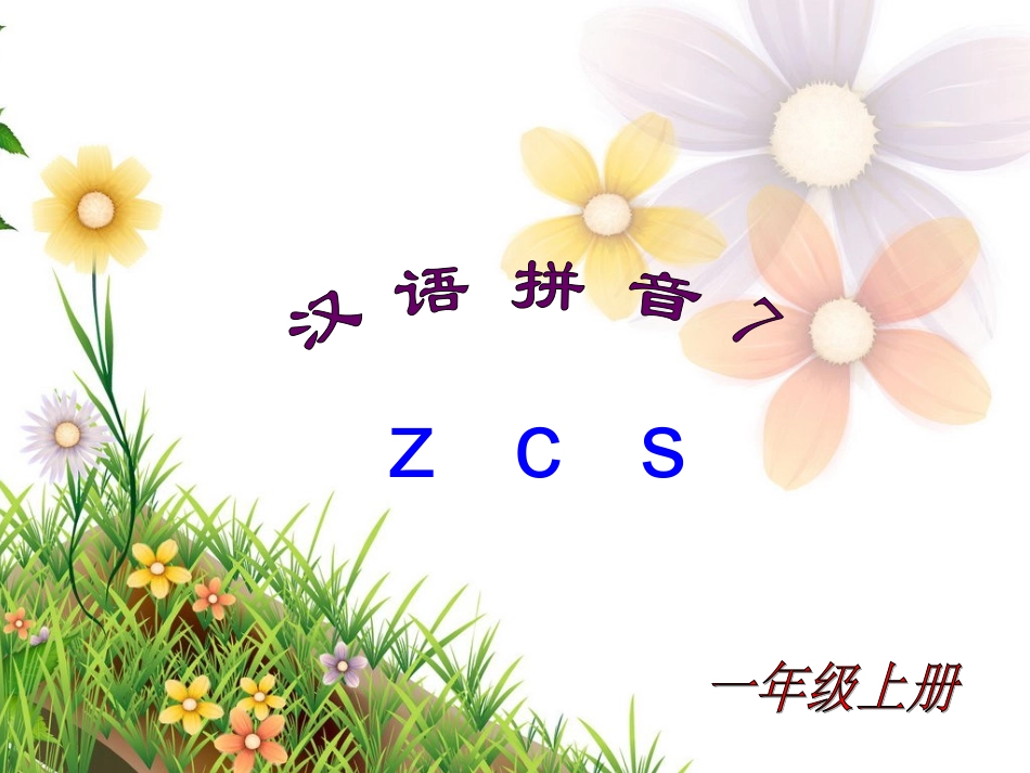 《zcs》教学课件1_第1页