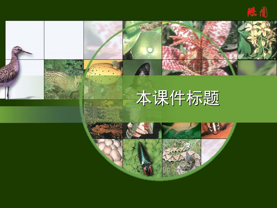 生物教学课件__PPT模板_第1页