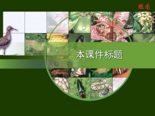 生物教学课件__PPT模板