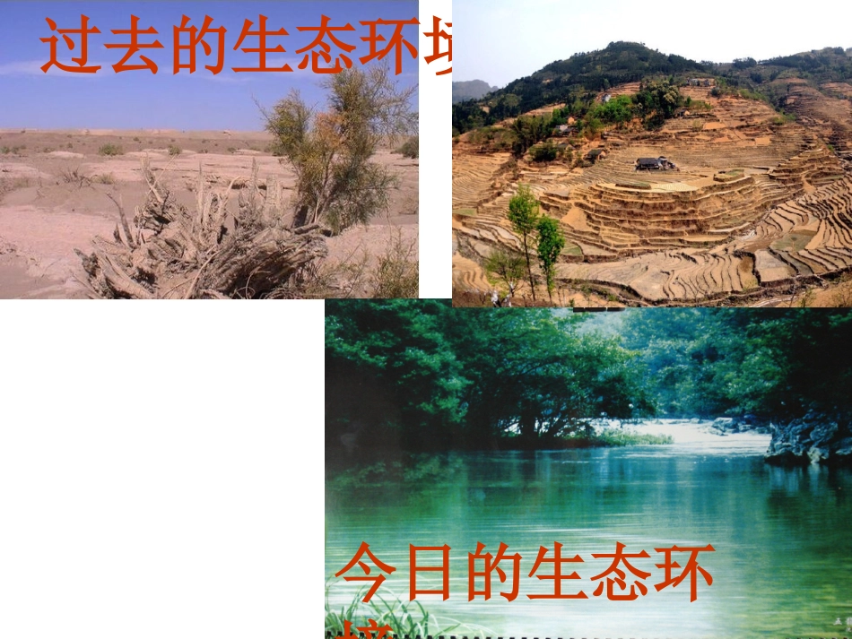 家乡的变化真大呀_第2页