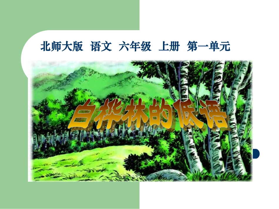 北师大版六年级语文上册《白桦林的低语》优秀课件_第1页