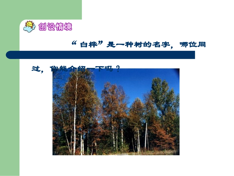 北师大版六年级语文上册《白桦林的低语》优秀课件_第3页