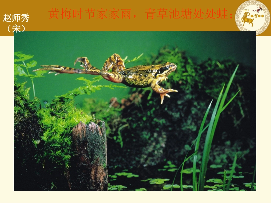 两栖动物的生殖和发育课件_第3页