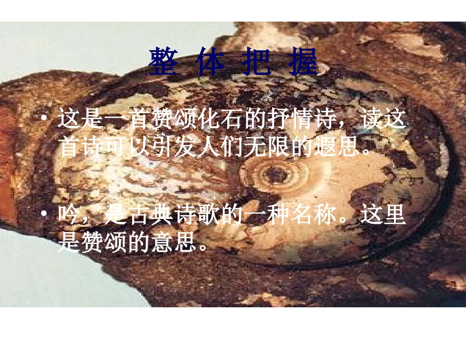 化石吟 (2)_第2页