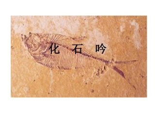 化石吟 (2)