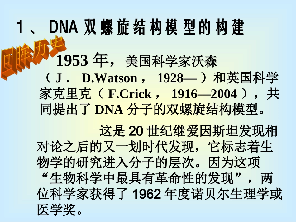 【生物】32DNA分子的结构课件2（人教版必修2）_第2页