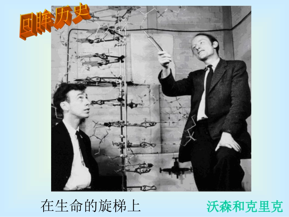 【生物】32DNA分子的结构课件2（人教版必修2）_第3页
