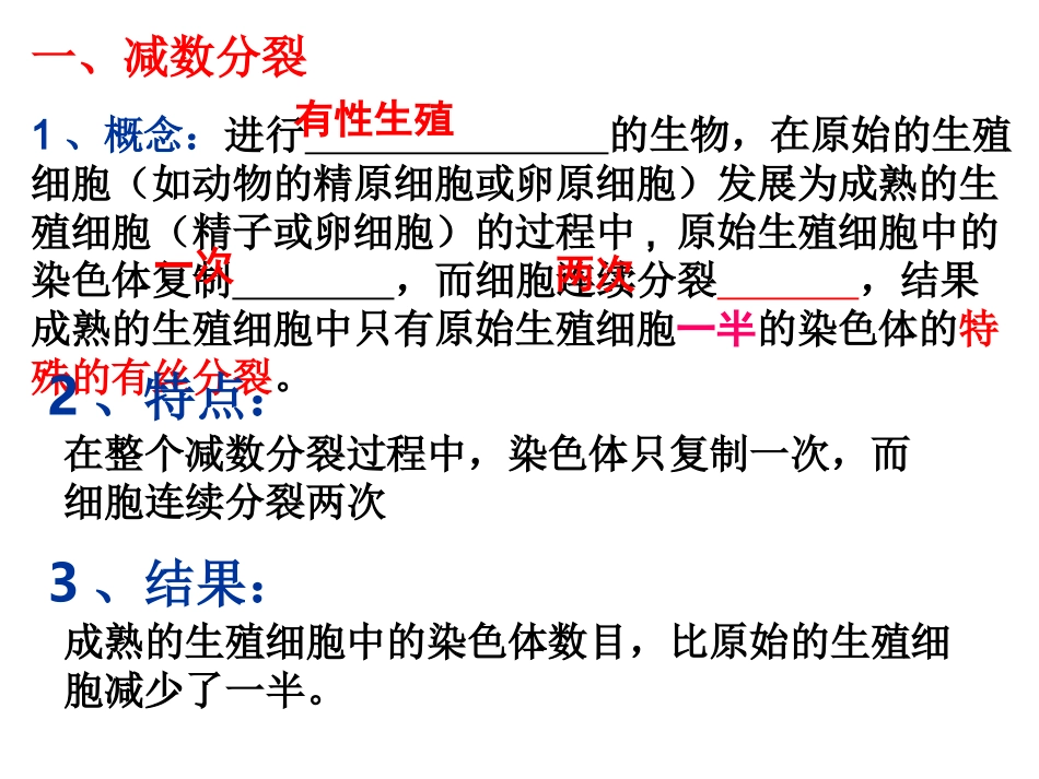 (文)_第一节_减数分裂和受精作用_第2页