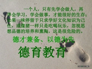 德育教育一MicrosoftPowerPoint演示文稿