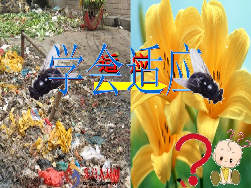 七年级第二课昨天与今天（适应学习）课件_第2页