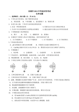 襄阳市宜城市2013年中考适应性考试化学试题及答案