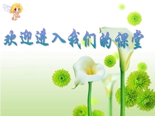 说课比赛（课件）热娜