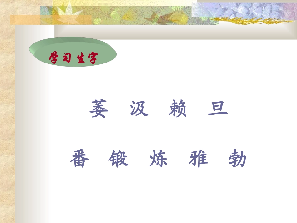 六年级《桃花心木》课件_第3页