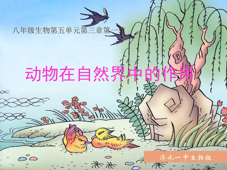 动物在自然界中的作用_第1页