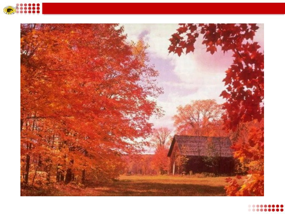 22短文两篇_第3页