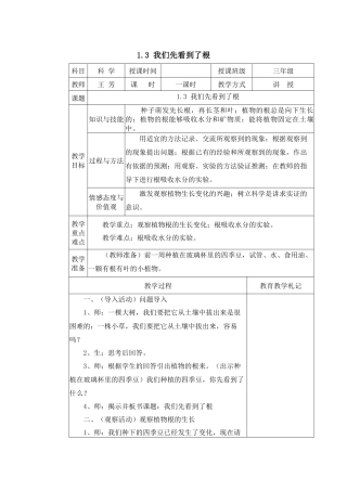 我们先看到了根教学设计