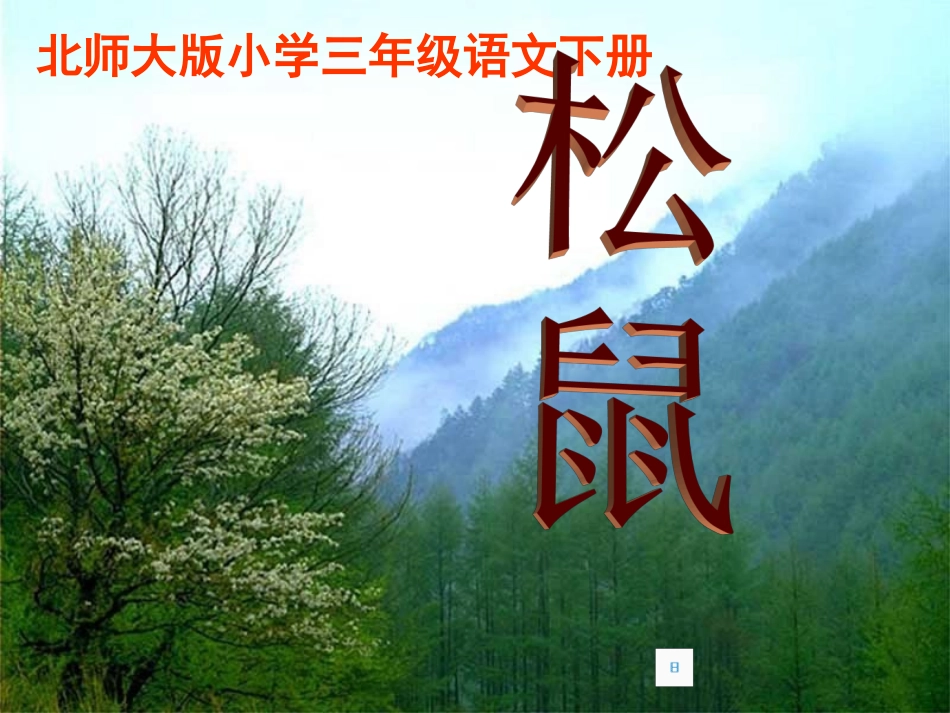 北师版小学三年级语文松鼠1_第1页