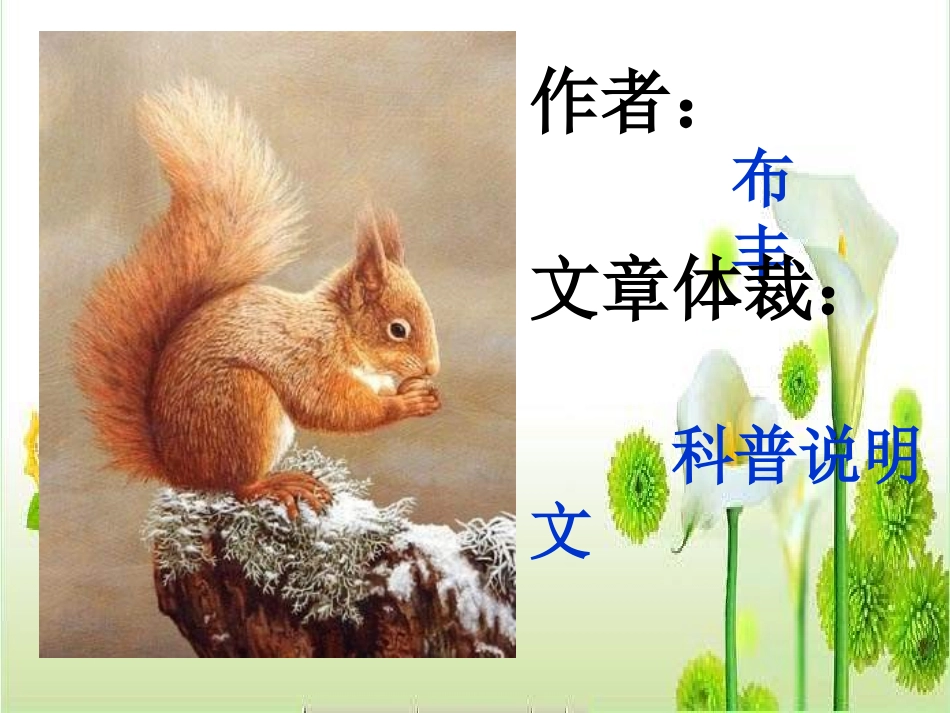 北师版小学三年级语文松鼠1_第2页