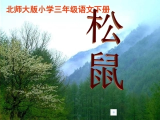北师版小学三年级语文松鼠1