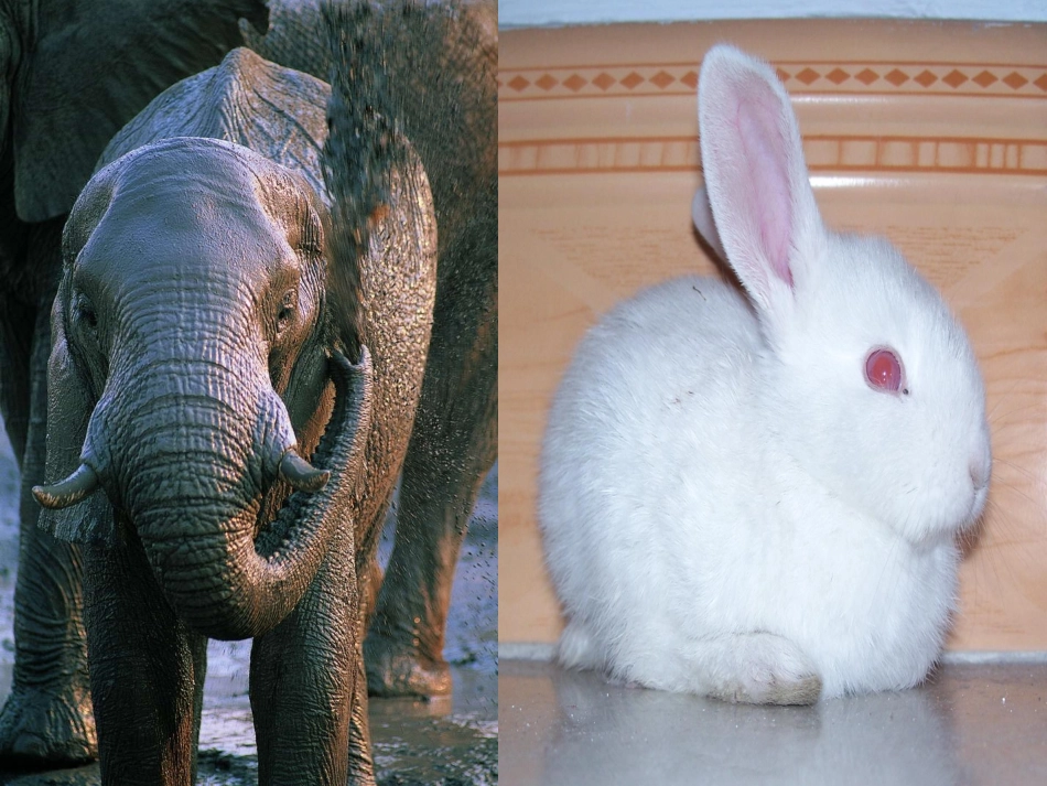 克和千克认识_第2页