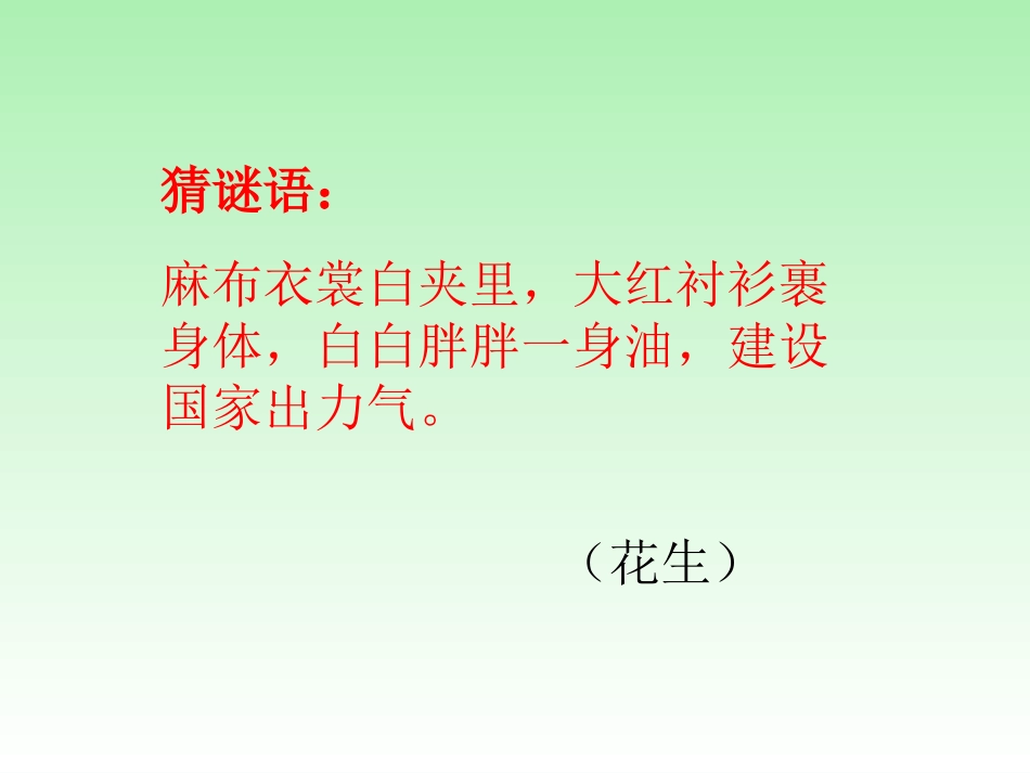 落花生教学课件1_第2页