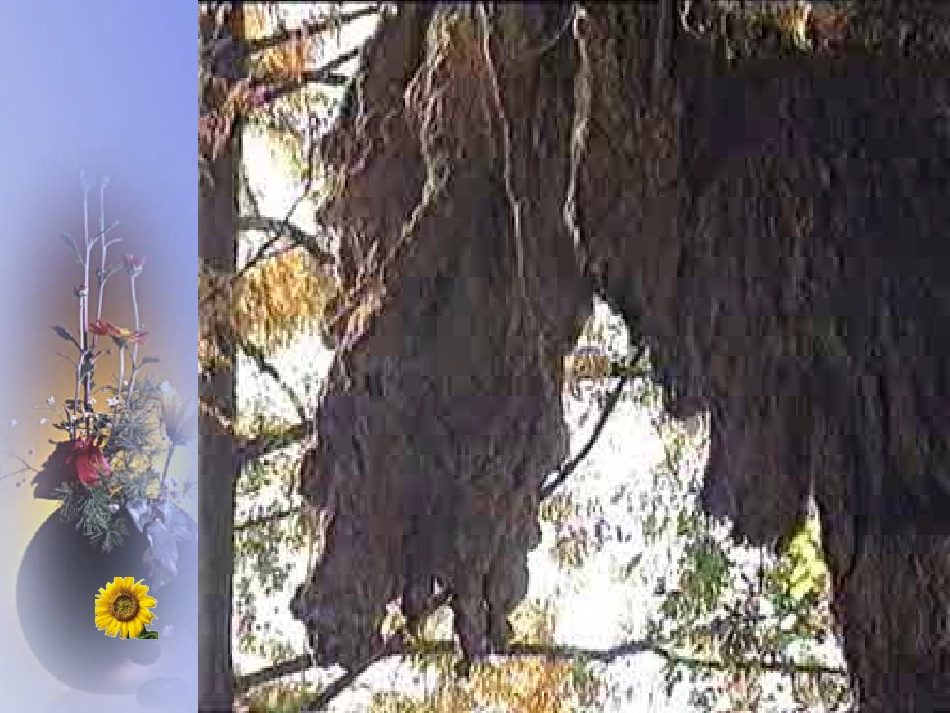 四年级语文记金华的双龙洞2_第2页