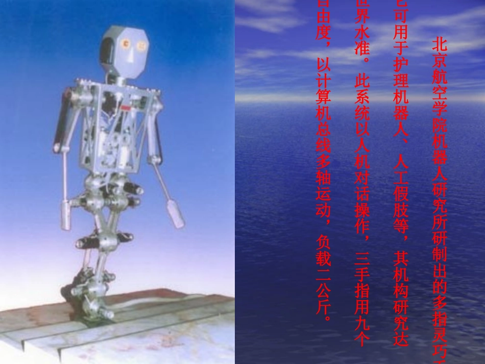 聪明的机器人PPT_第2页