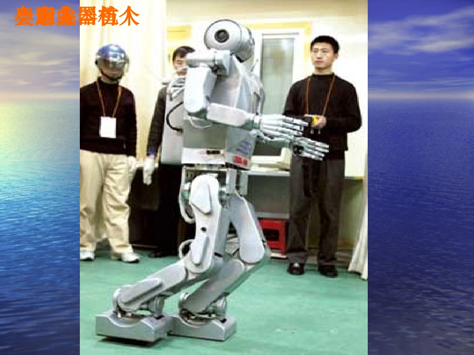 聪明的机器人PPT_第3页