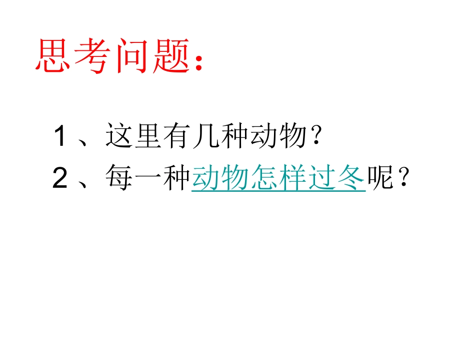 三年级科学《动物怎样过冬》课件_第2页