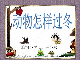 三年级科学《动物怎样过冬》课件