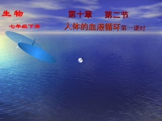 苏教版七年级下册生物第十章血液循环(一)