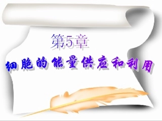 人教版必修1第5章第1节降低化学反应活化能的酶（共32张PPT）