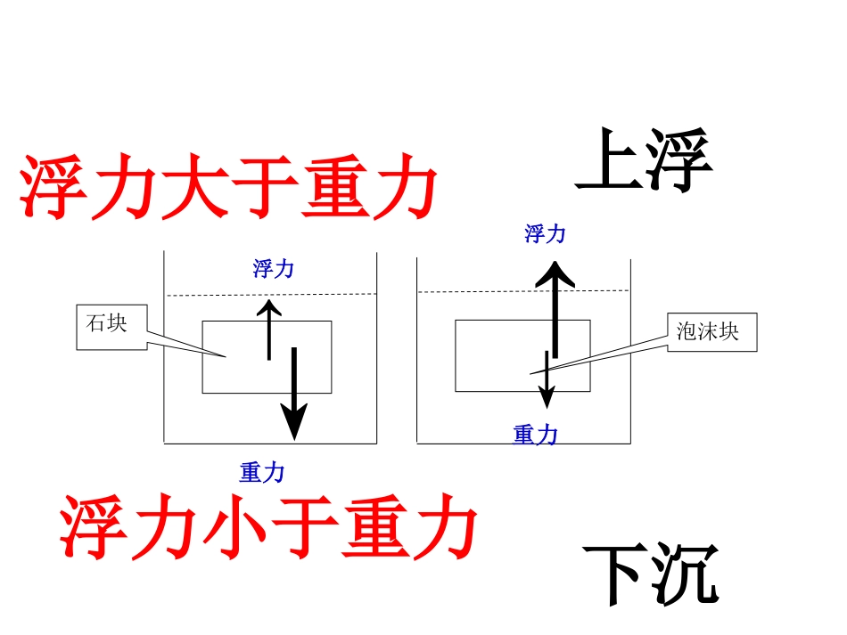 马铃薯在液体中的沉浮_第3页