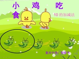 小鸡吃食课件