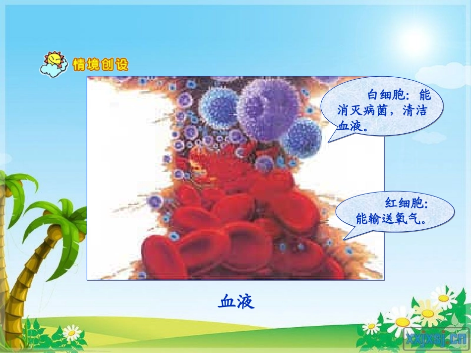四年级上册《近似数》PPT课件[1]_第3页