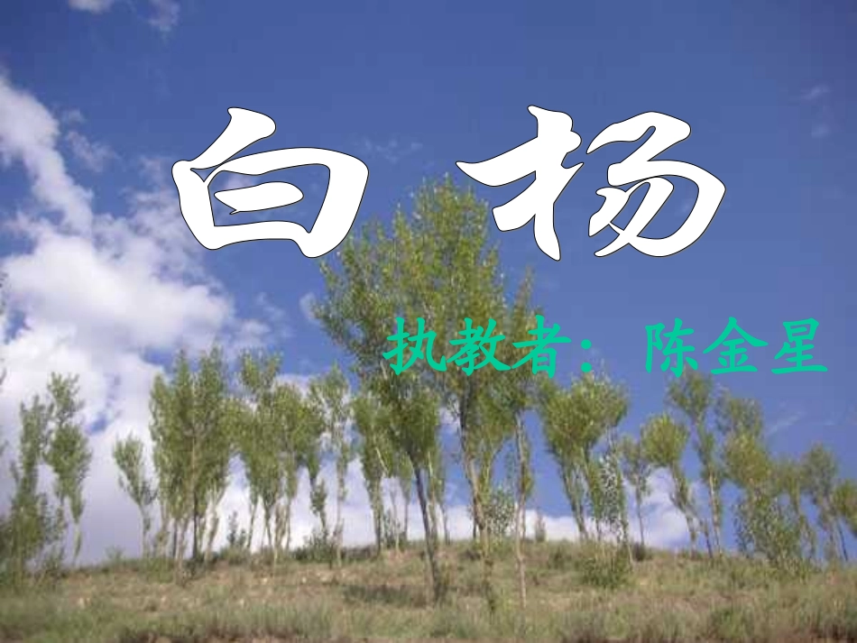 陈金星白杨PPT课件_第1页