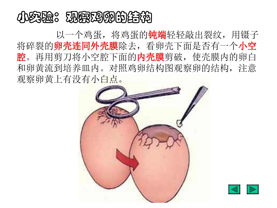 鸟的生殖和发育_第2页