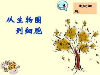 人教版必修1第1章第1节从生物圈到细胞（共31张PPT）