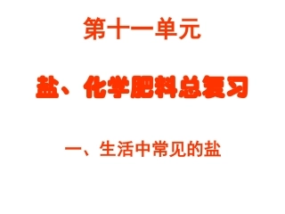 人教版九年级化学盐化学肥料复习课件