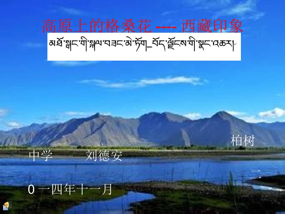 高原上的格桑花_第1页