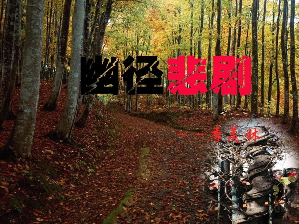 《幽径悲剧》课件(上课)_2_第1页