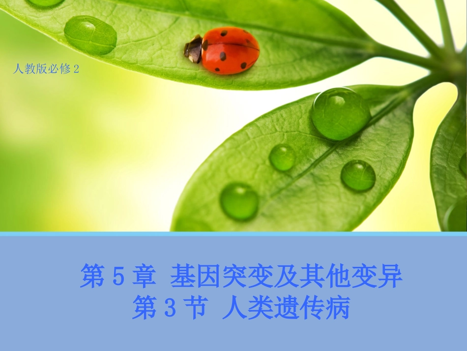 【生物】53人类遗传病课件1（人教版必修2）_第1页