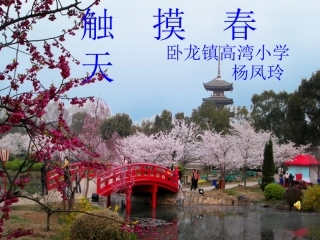 《触摸春天》课件杨凤玲