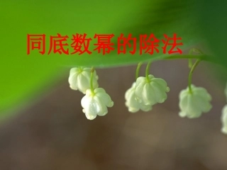 同底数幂的除法课件