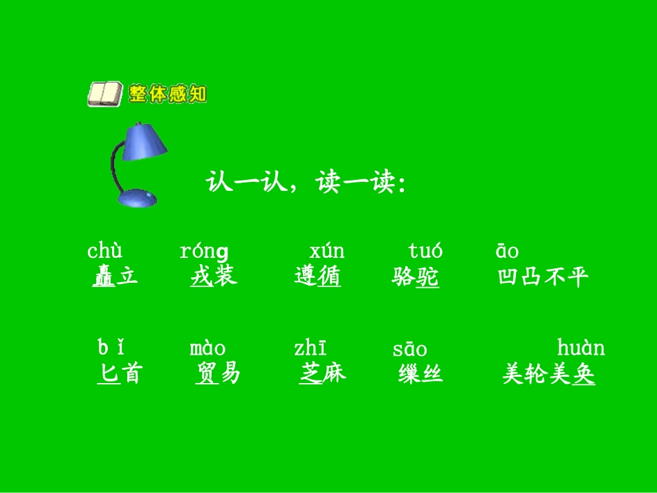 五年级语文下册第一组2丝绸之路第一课时课件_第3页