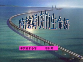 《跨越海峡的生命桥》PPT课件