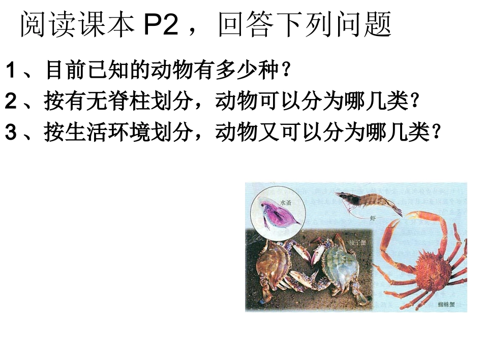 《水中生活的动物》课件_第3页