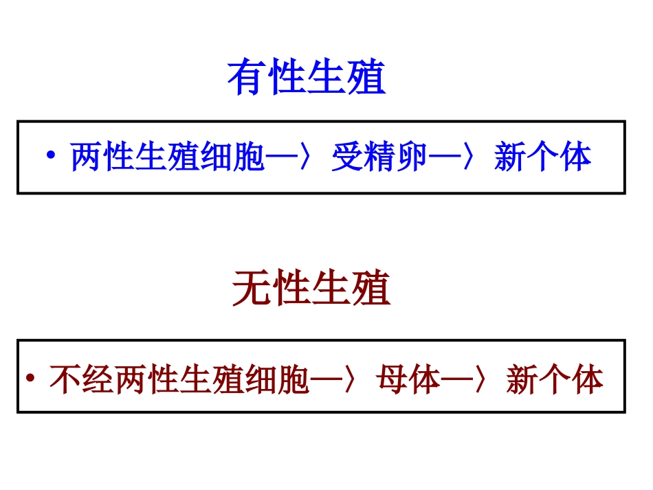 八下期中复习_第3页